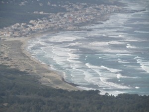 IMG_4805 (Medium)